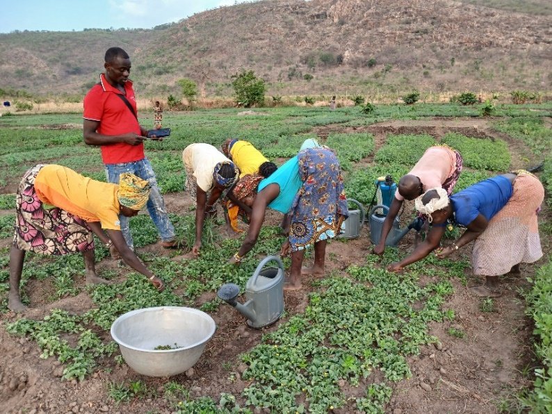Femmes et agriculture : temoignages inspirants